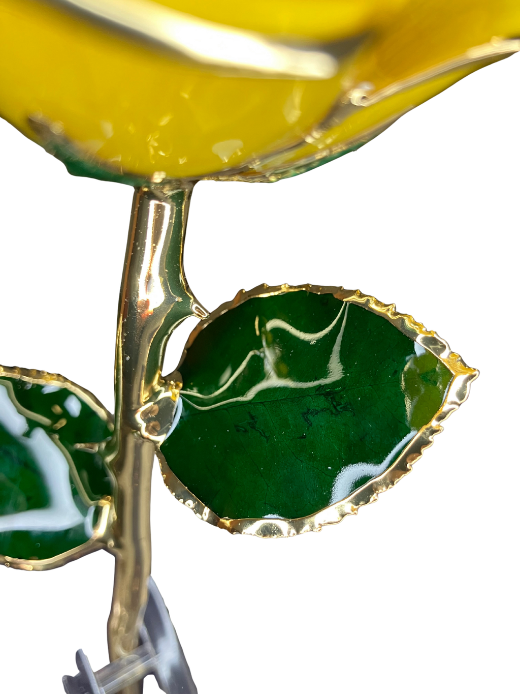 24K Gold-Dipped Real Yellow Rose with Acrylic Stand & SGS Certificate