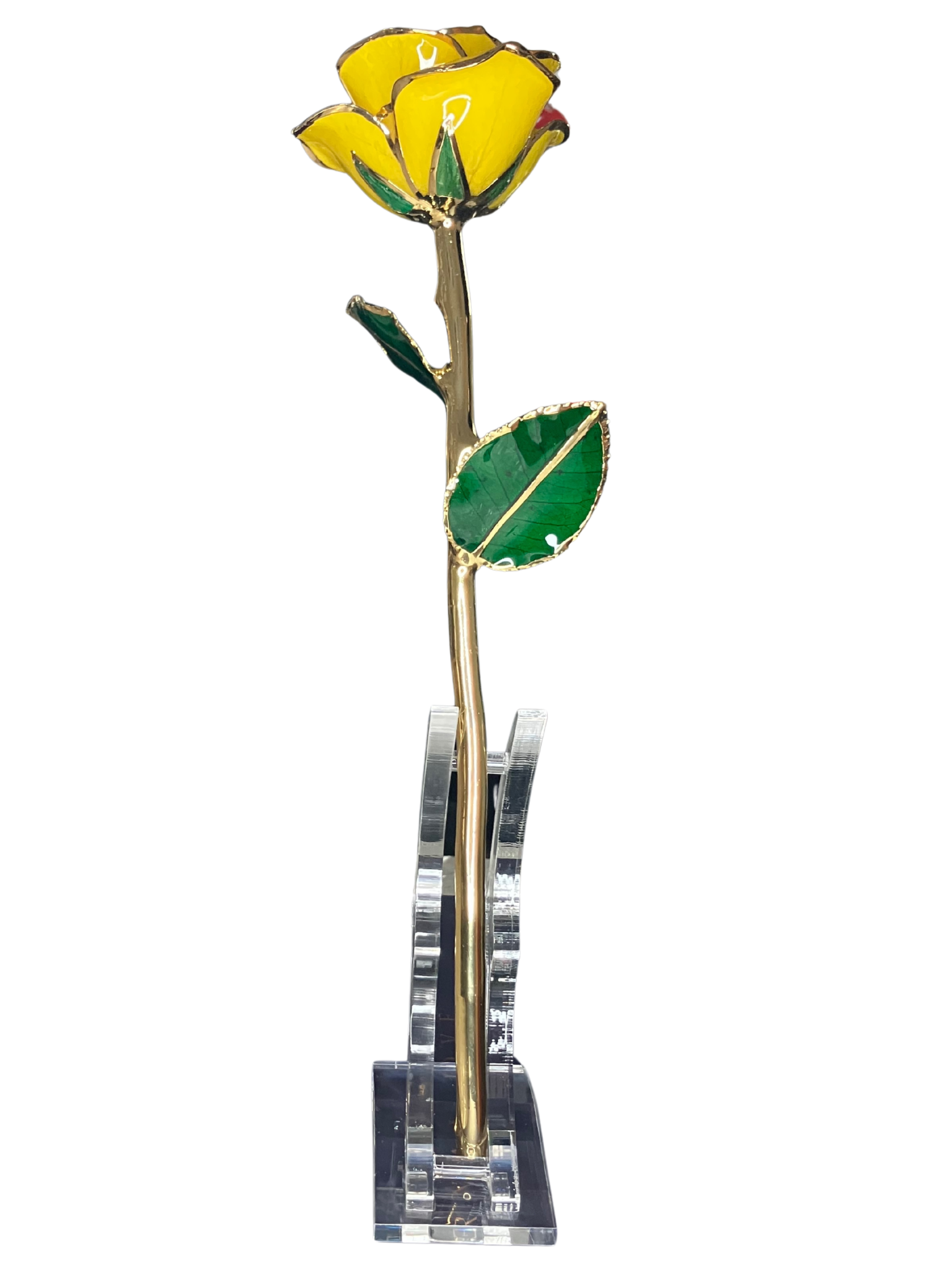 24K Gold-Dipped Real Yellow Rose with Acrylic Stand & SGS Certificate