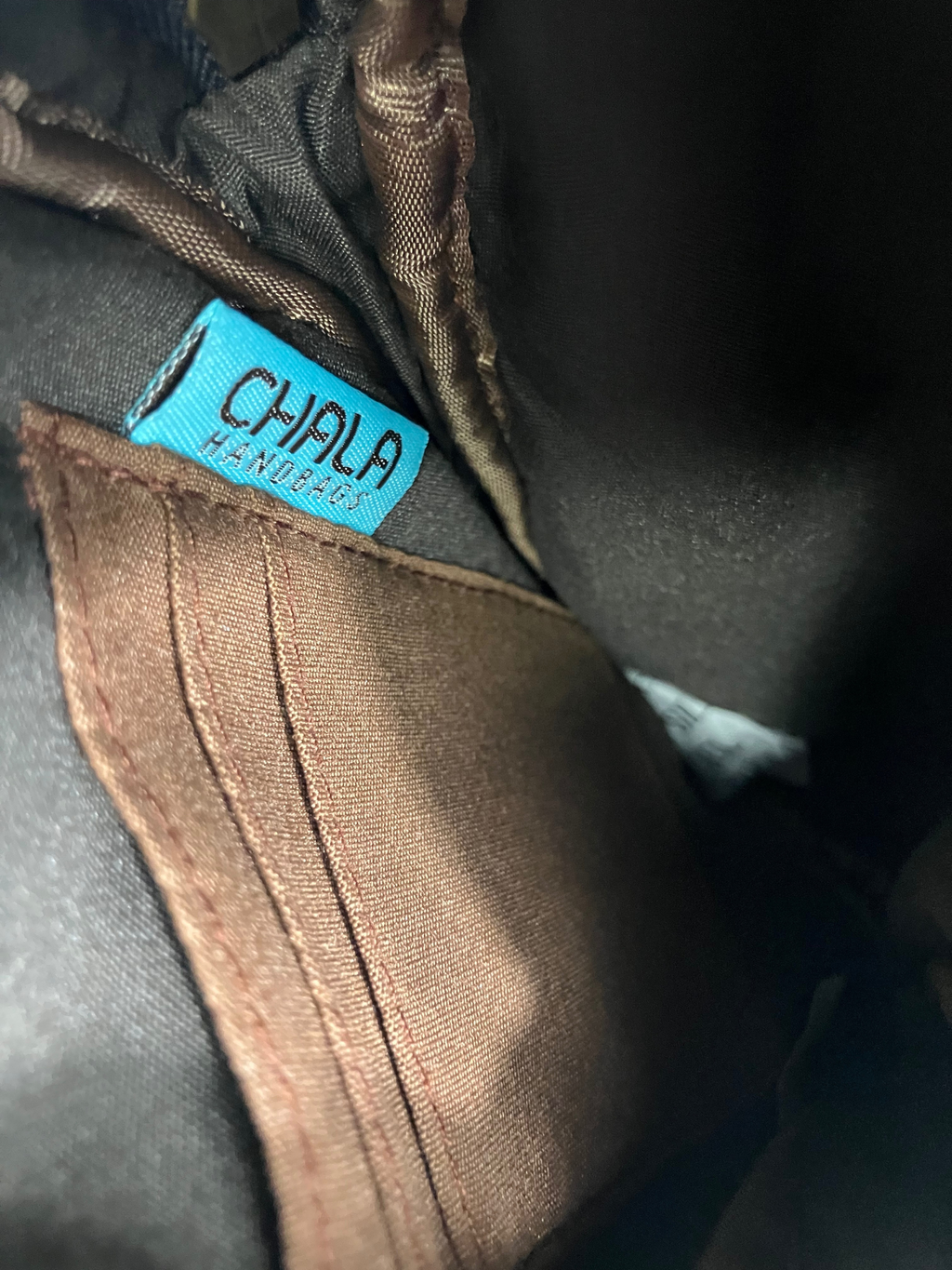 Chala Blue Canvas Convertible Mini Crossbody Bag - Dragonfly Charm