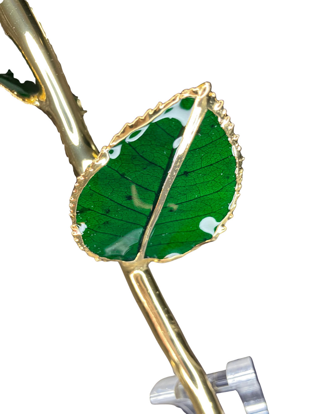 24K Gold-Dipped Real Yellow Rose with Acrylic Stand & SGS Certificate