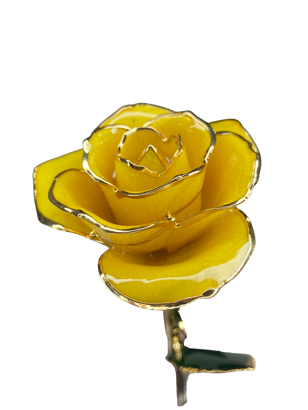 24K Gold-Dipped Real Yellow Rose with Acrylic Stand & SGS Certificate